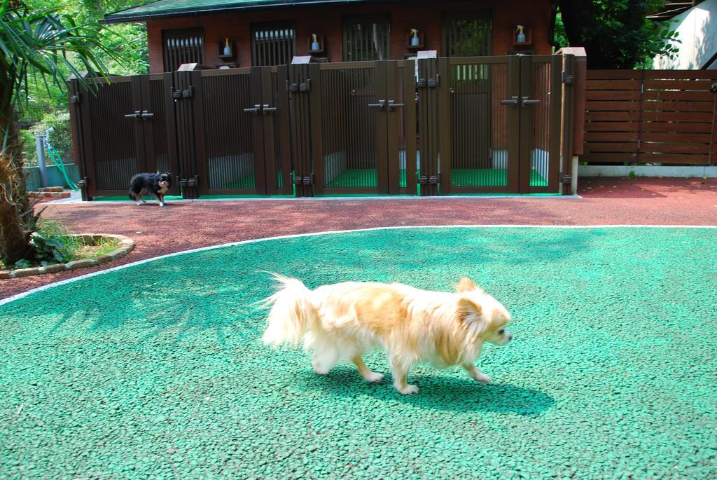 Hotel Okumizuma Onsen Kaizuka Exterior foto